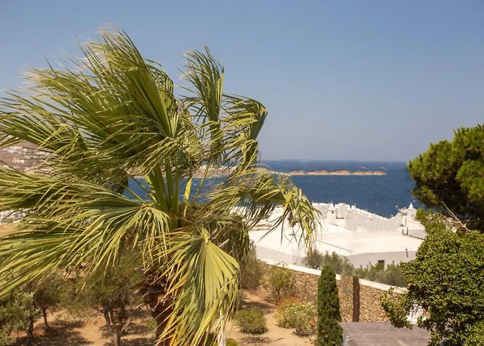 Oasis A Magical Garden In Вилла