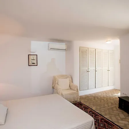 Oasis A Magical Garden In Mykonos Town