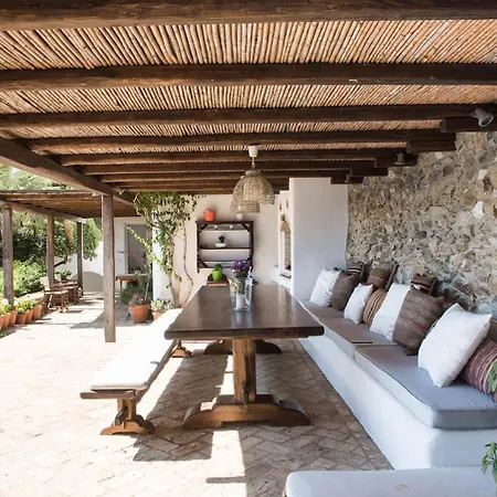 Oasis A Magical Garden In Mykonos Town