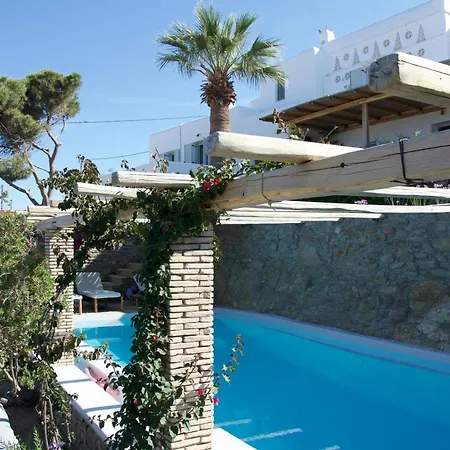 Oasis A Magical Garden In Mykonos Town