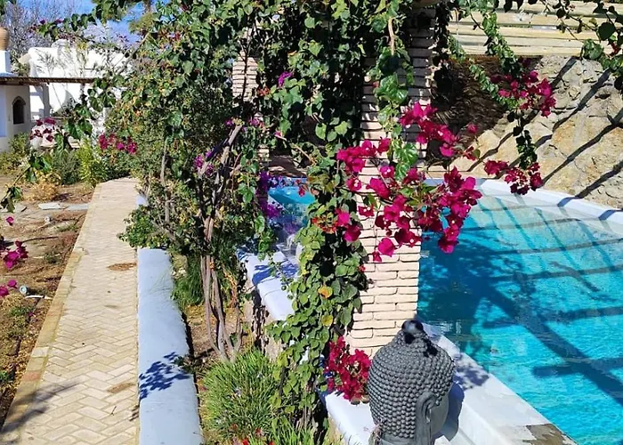 Oasis A Magical Garden In *