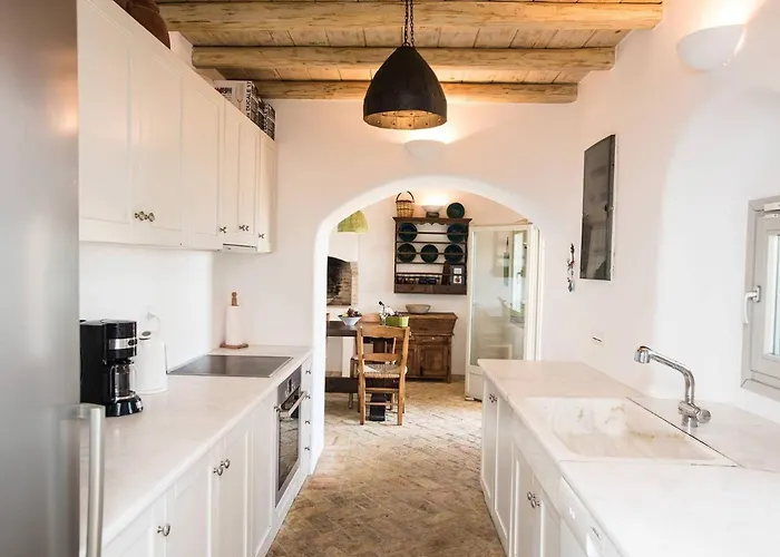 Oasis A Magical Garden In Mykonos Town