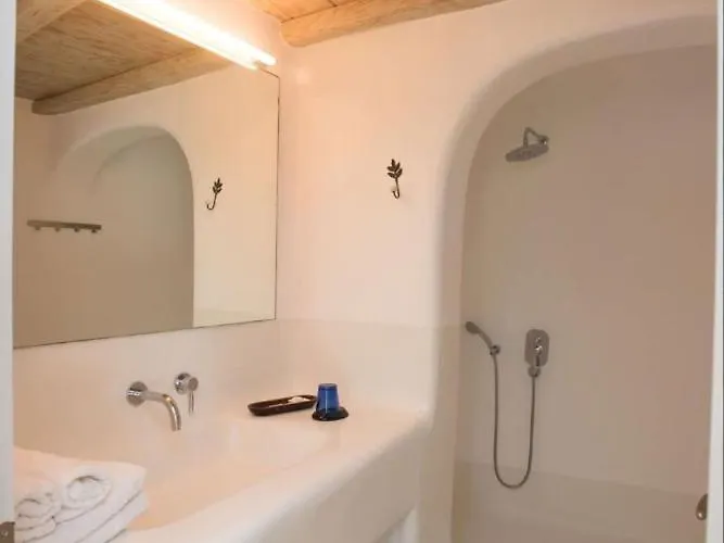 Oasis A Magical Garden In